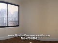 1 + 2 BR apartments Newbury St Back Bay Boston, MA for rent