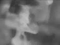 RWAKE-WORTS live 2003