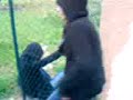 iinfiiltrage dans un champs