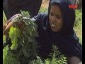 Oasis farmers in Mauritania - Bahasa Malaysia narration