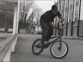 Animal bmx