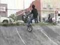 Animal Bmx