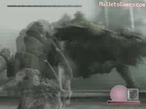 Shadow of the Colossus