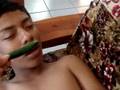 tomy