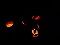 Boston Jack-o-Lanterns Boston Jack-o-Lanterns