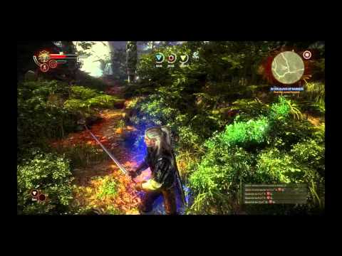 The Witcher 2 : Assassins of Kings