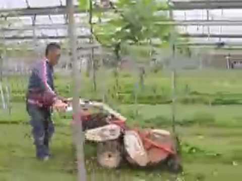 Yamanashi Vineyards Grass Cutting