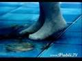 PUBLICIDAD COMERCIAL GANADOR DEL FESTIVAL DE CANNES