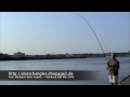 Wels Elbe Mai 2009