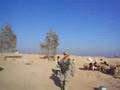 U.S. soldiers having fun in Iraq.