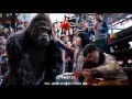 Mr Go 3D - 1st Official Trailer (2013) - Gorilla Korean Baseball Action Movie HD