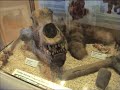 Luberri, Oiartzungo Ikasgune Geologikoa