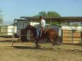 11-30-08 Riding Buster under saddle & tack 1st time-2