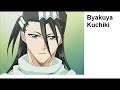 ALL CAPTAINS AND LIEUTENANTS OF BLEACH