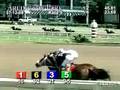 ARLINGTON PARK, 2008-07-13, Race 5