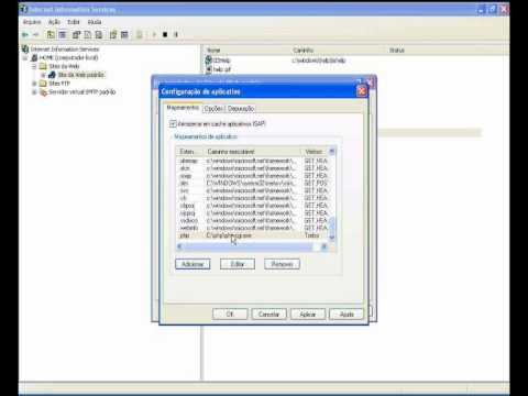 how to enable cgi in iis