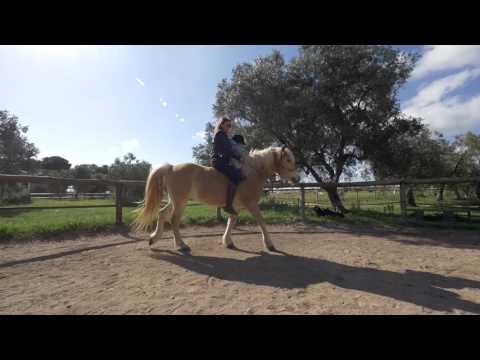 Masseria Fossa 2017: Promo