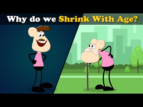 Why do we shrink with age? Thumbnail