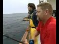 Fishing with Dan Herndaez and a group of people fishing kelp beds using polly jigs right off the surface catching Yellows and bonita's, using fluger reels, spin casting reels, with cajun red line.