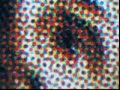 Dali Colours Dali Colours