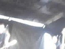 Against Me! warped tour 2006, LI... Against Me! warped tour 2006, LI...