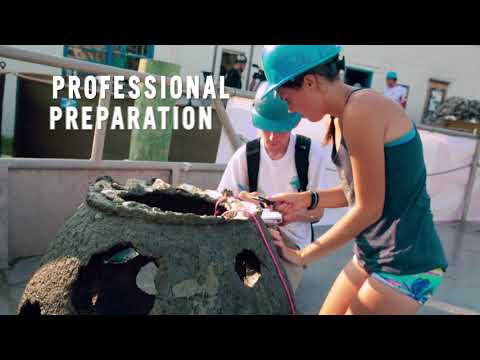 Stevenson University | Our Values