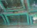 100 years snake in gulshan iqbal park seen by Junaid,Zaki,Umer,Rana Usman