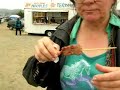 Makah Days 2005
