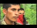 the-eln-colombian-guerrilla.html