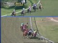 Contested Bid Stakes - December 5, 2009