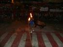 enbolados alginet enbolados alginet