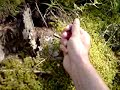 Saut Elastique Fusée Portique Enfants Projestes