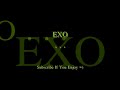 Search Video