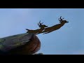 Bambi - Pelicula - latino - parte 3