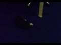 videos de Monty und Digger