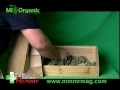 Harvesting Medical Marijuana 2 Drying & Curing .mpg