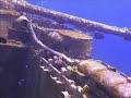 M42 Duster Anti Aircraft Vehicle Underwater M42 Duster Anti Aircraft Vehicle Underwater
