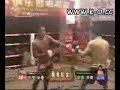 詠春對泰拳