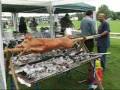 Lechon in Bonn
