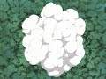 Naruto Vs Gaara 075