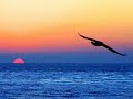 Mihai Eminescu- Mai am un singur dor  One wish alone have I