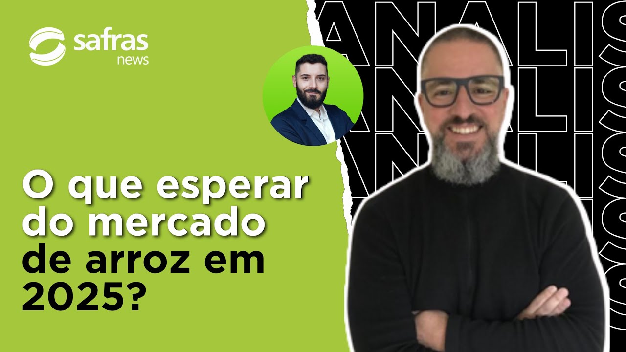 Analista de Safras fala sobre desafios do mercado de arroz em 2025