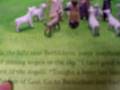 Usborne Advent Nativity Book.mpg