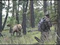 Colorado Elk Hunt field testing Power Pleat Technology Power Pleat @ www.powerpleattech.com, World Hunting Group @ http