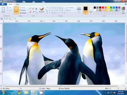 how to zoom out in paint