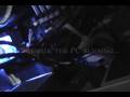 videos de New Dimms