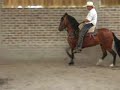 Furia de Tundama de San Pedro