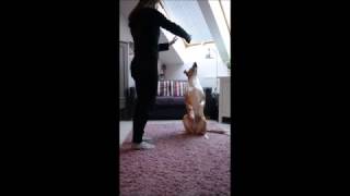 Video Ebi & pár triků 2