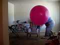 36\" balloon sit pop 36\" balloon sit pop