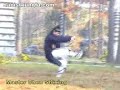 wudang fuhu quan